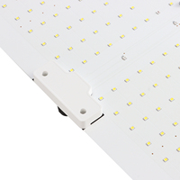 Lampe de culture LED Quantum Board 120w, spectre complet, pour plantes d'intérieur, serre de culture, hydroponie