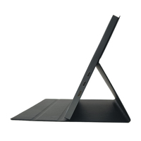 Monitor Portátil de Escritorio de 15.6 Pulgadas a Precio Económico con Pantalla de 1080p, Monitor LED para Computadora