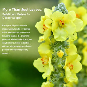 Лидер продаж: Экстракт листьев дикого мультивита в каплях Richtek – органические жидкие капли мультивита - Product Image 4