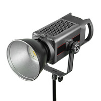 Lampe de photographie de beauté COB à double poignée en métal 300W neuve d'usine avec télécommande portable, lumière solaire toujours brillante