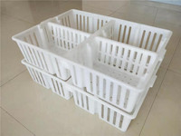 Caisse de Transport pour Poulets de Chair, Cage de Transport en Plastique pour Volailles Vivantes