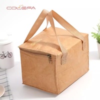 Sac isotherme pliable Colefa avec fermeture éclair, sac en papier DuPont, film aluminium, sac à déjeuner isotherme pour pique-nique en plein air, sac à déjeuner en papier kraft, sac à déjeuner bento