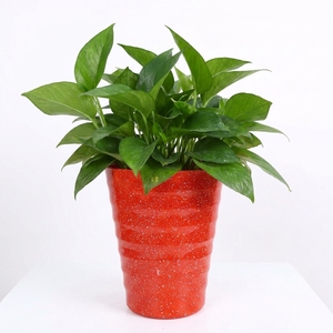 Modern OEM Color Speckled Plastic <b>Flower</b> <b>Pot</b> with Ripple Design for Indoor Green Plants Desktop Use <b>Large</b> Size - Product Image 1