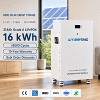 Аккумулятор Power Wall 48В 51.2В 300Ач 314Ач для солнечных батарей, домашний накопитель энергии 16кВтч, LiFePO4 батарея с JK BMS для бытового использования