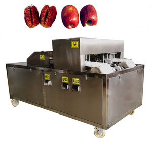 Machine à dénoyauter les dattes multifonctionnelle automatique, très demandée, pour la vente en gros - Product Image 4