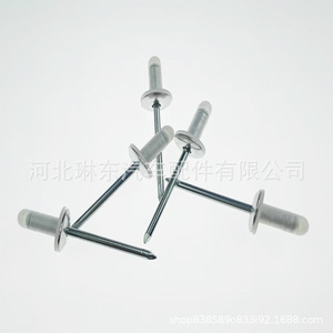 Remache ciego de 0.125 pulg. de diámetro, cabeza de 5/16 pulg., autorroscante, metálico, para paneles de puerta, altavoces y protectores de parachoques de Toyota Corolla, RAV4, Vios - Product Image 3