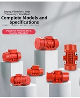MVE Industrielle Dreiphasen-Wechselstrom-Bürstenlose Vibrationsmotoren IP65 für Rütteltische, Fördersysteme, Silos und Siebe