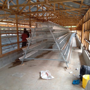 Jaulas de batería para gallinas ponedoras, 96-160 aves, para granjas avícolas, diseño galvanizado en caliente, para la producción de <span class=keywords><strong>huevos</strong></span> - Product Image 2