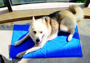 Trade Assurance Wholesale Nylon Waterproof Cooling Dog <b>Mat</b> 30x40cm <b>Large</b> Pet Cooling Pad with Printed Pattern - Product Image 3
