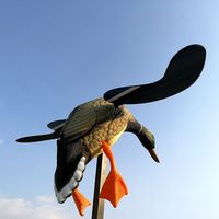 Leurres pour canards Leurres pour la chasse au vent électrique gonflable sarcelle Accessoires de vente en gros Leurre pour la chasse au canard