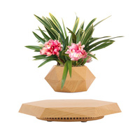 FP059 Lévitation Magnétique Bonsaï Plante Flottante En Bois Pots De Lévitation Magnétique Pour Plantes Lévitation Pot De Fleur