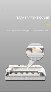 Wonegg Led Bò sát Thổ Nhĩ Kỳ 20 lồng ấp trứng giá gia cầm trứng lồng ấp để bán - Product Image 5