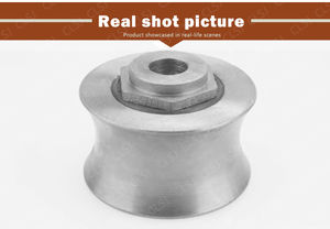 Passagier Takel Geleiderroller - Product Image 5