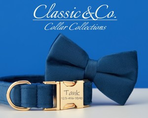 Collier et laisse pour chien en métal gravé personnalisé avec le nom de l'animal, bleu royal, avec cloche et nœud, livraison gratuite - Product Image 2