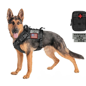 Échantillon gratuit Harnais pour animaux de compagnie en maille de haute qualité, léger, réfléchissant, doux et respirant pour chiens de fournisseur chinois - Product Image 2