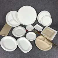 Platos y platos desechables para cena, juego de platos de caña de azúcar y caña de azúcar