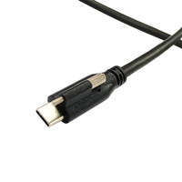 Vente en gros Câble USB C vers USB-C personnalisé de 1 mètre à vis unique 5A Câble USB 3.1 Type C avec synchronisation de données 10Gbps Alimentation 100W