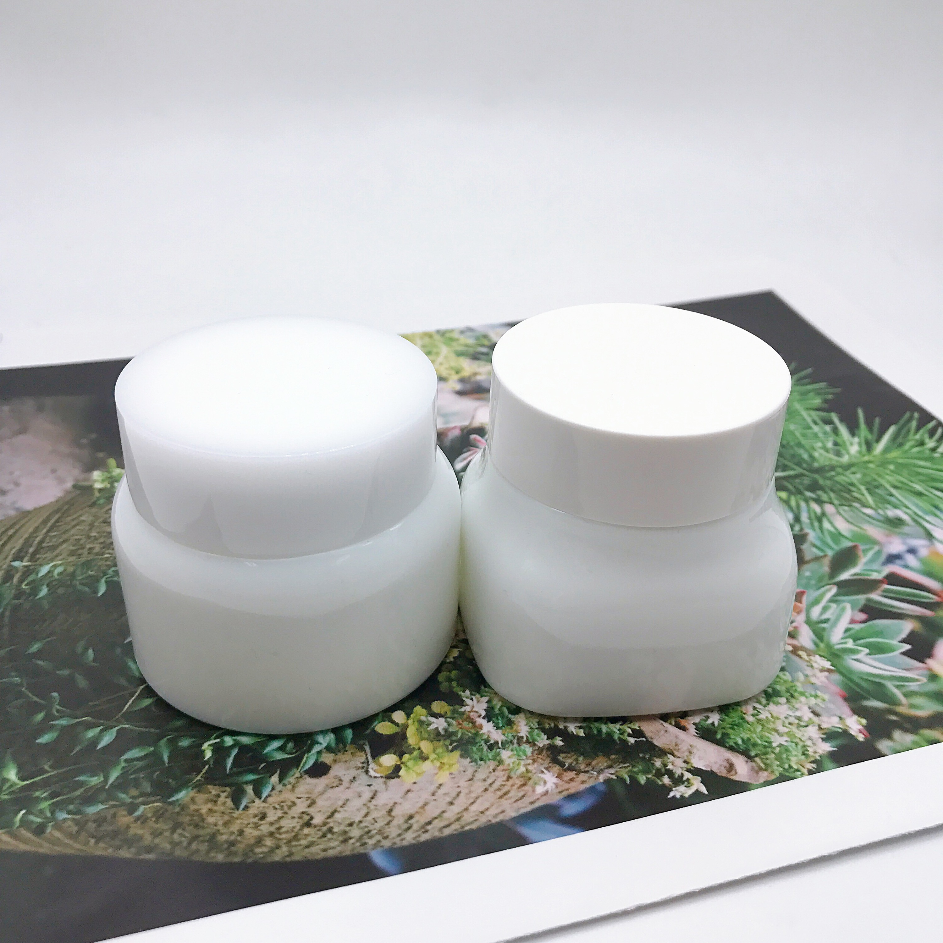 Nouveau Produit En Porcelaine Blanche Pot de Crème De Haute Qualité Opalglass Pot 50g 100g Personnalisé Pot