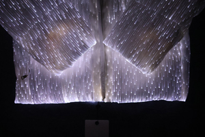 เสื้อแจ็กเก็ตขนเป็ดสำหรับผู้ชายมีซิปรูดซิปดีไซน์ใหม่มีไฟ LED สะท้อนแสง - Product Image 2