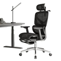 Chaise de bureau en maille respirante avec un design exquis, un cadre en plastique ergonomique et un réglage manuel