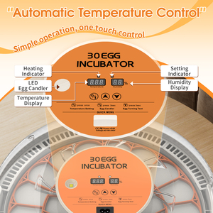 Incubateur <span class=keywords><strong>de</strong></span> machine d'élevage d'oeufs <span class=keywords><strong>de</strong></span> <span class=keywords><strong>perroquet</strong></span> <span class=keywords><strong>de</strong></span> poulet <span class=keywords><strong>de</strong></span> WONEGG CE marqué 30 à <span class=keywords><strong>vendre</strong></span> - Product Image 2