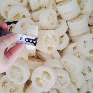 Eco-certificata Luffa naturale Luffa fette 2cm/2.5cm forma ovale stile moderno spazzola <span class=keywords><strong>per</strong></span> il corpo sacchetto <span class=keywords><strong>per</strong></span> sapone che fa la cura delle mani in <span class=keywords><strong>bagno</strong></span> - Product Image 6