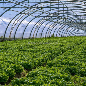 6-मिइल मोटा पी ग्रीनहाउस प्लास्टिक फिल्म. जलरोधी एंटी-एजिंग यूव-प्रतिरोधी, आरूढ़ ग्रीनहाउस के लिए कवर - Product Image 6