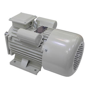 YC-112M2-2 IEC 50Hz 60Hz 220V 3.7kw 5hp 3000rpm 비동기 유도 전동기 AC 단상 산업용 모터 - Product Image 3