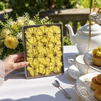 12 pièces/boîte de chrysanthèmes et marguerites éternelles préservées pour la remise des diplômes, la fête des Mères, la Saint-Valentin, Pâques, Halloween, Noël, Thanksgiving