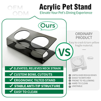 Support de mangeoire surélevé portable en acrylique transparent de luxe pour chat et chien, idéal pour l'intérieur, l'extérieur et les voyages (OEM usine)