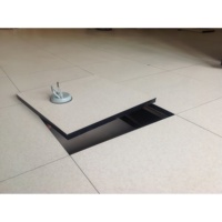 Panneau de panneautage antistatique de haute qualité pour les centres de données et les salles blanches, couche galvanisée de 0,4 mm