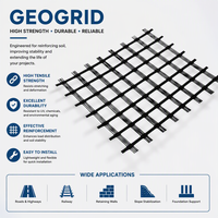 Géogrille plastique biaxiale haute résistance TGSG en PP pour le renforcement géotechnique des talus routiers et des sous-drainages souples
