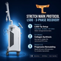 JONTELASER L600 Laser Fractionnel CO2 10600nm Stationnaire pour Resserrement Vaginal, Élimination des Vergetures, Blanchiment et Rajeunissement de la Peau Haute Performance