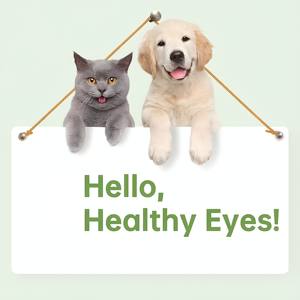 OEM ODM Luteína Natural para Perros y Gatos, Recomendado por Veterinarios, Alivia Infecciones, Alergias, Ojos Secos, Ojos Rosados, <span class=keywords><strong>Gotas</strong></span> para Manchas de Lágrimas en Mascotas, Fácil de Usar - Product Image 6