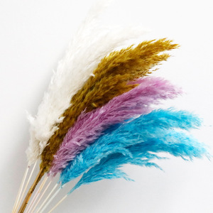 Herbes de la Pampa <span class=keywords><strong>Séchées</strong></span> et Colorées, Petits Roseaux Immortels pour Décoration Maison, Mariage, Noël, DIY - Product Image 1