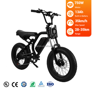 Vélo électrique à pneus larges haute vitesse 35 km/h, 750 W de puissance, 1100 W de crête, 48 V 13 Ah, pneus 20*4.0, frein à disque hydraulique, vélo tout-terrain électrique à vendre - Product Image 1