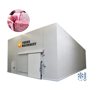Système de refroidissement industriel personnalisé au meilleur prix, refroidisseur de légumes, Machine de stockage de viande, congélateur, salle de stockage froide