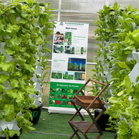 Nouveau grand système de culture verticale hydroponique Fabricant aquaponique Plantation de tours de jardin pour la laitue