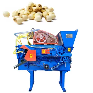 Fresh lotus nut shelling and peeling machine lotus seeds shell removing and peeling machine lotus seed husking machine