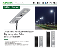Lampadaires solaires LED pour autoroute en aluminium étanches IP66, panneau PV monocristallin 100W pour routes et parkings, certifiés CE