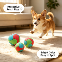 Ballon de jeu pour chien en TPR, durable et indestructible, élastique, pour la mastication et le soulagement de l'ennui, mignon, de haute qualité, pour animaux de compagnie