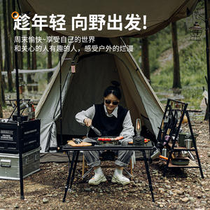 Réchaud à gaz portable Igt pour 1-2 personnes, pliable, coupe-vent, pour le camping, avec allumage, couleur argent - Product Image 3