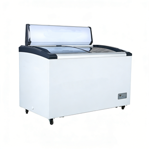 Congelador Horizontal Comercial para Supermercado, 110V60Hz, Puerta Curva de Vidrio Deslizante, <span class=keywords><strong>308L</strong></span> - Product Image 4
