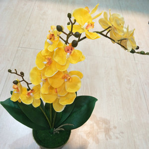 ดอกไม้ประดิษฐ์ กล้วยไม้ฟาแลนนอปซิส สีเหลือง ขนาด 55 ซม. 3 กิ่ง 15 ใบ สำหรับตกแต่งภายในบ้าน - Product Image 1