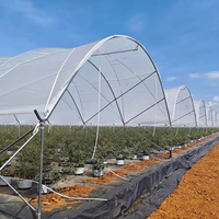 Serre tunnel en film plastique à portée unique avec structure en acier galvanisé pour la culture de légumes et de fraises, taille personnalisée