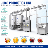 Ligne de production de jus de fruits automatique clé en main 1000 bph