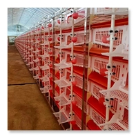Les ventes Cages automatiques pour cages à cailles pour la production d'œufs en Allemagne