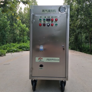 Machine de nettoyage automobile mobile en acier inoxydable, vapeur et eau froide, lavage, polissage et cirage de voitures à domicile, batterie au plomb-acide 48V - Product Image 1