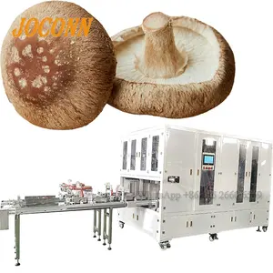 Équipement pour la culture des champignons Morel machine à sceller les sacs de substrat pour champignons machine à sceller les composts pour champignons