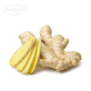 Jengibre con almidón rico Comida fragante Jengibre fresco madurado Jengibre de calidad de grado de exportación Disponible en tamaño mixto - Product Image 2